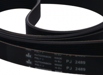 12141069 belt 28kg dryer fagor danube primer domus